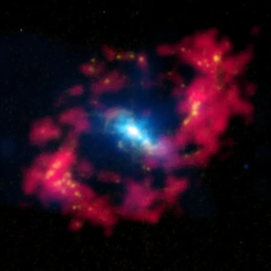 The NGC 4151 card