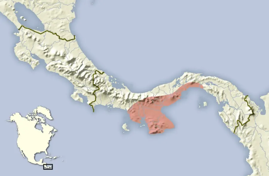 La carte Liomys adspersus
