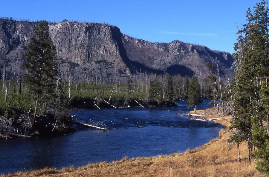 The Madison River card