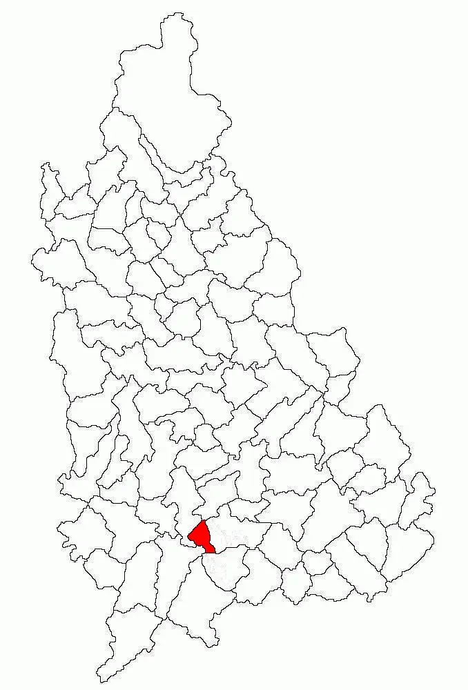 La carte Costeștii din Vale