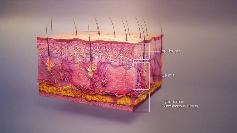The Skin condition card