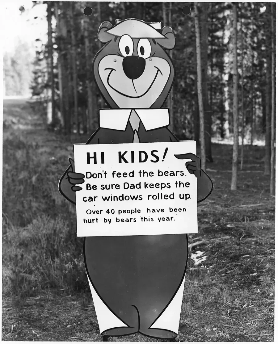 La carte Yogi l'ours