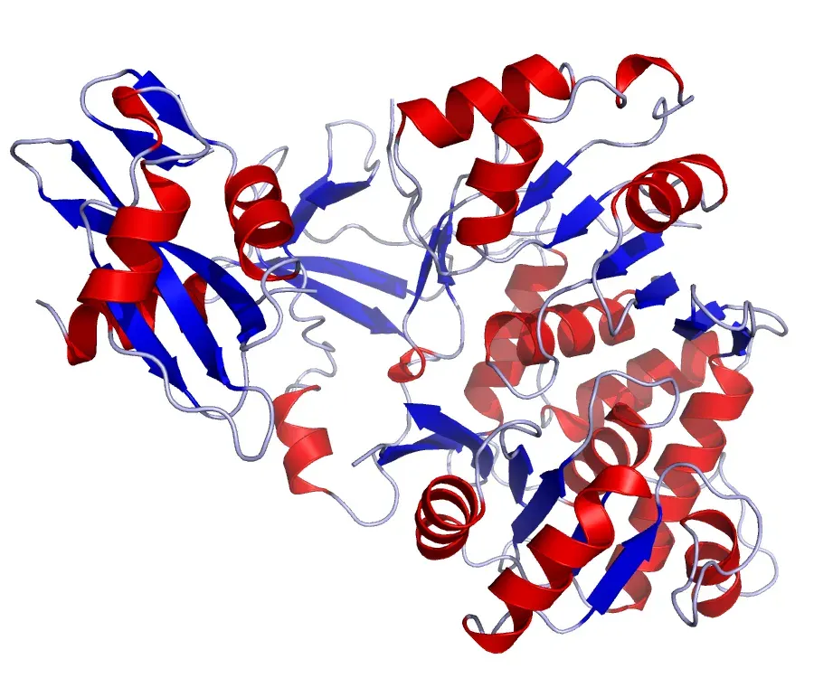 The Luciferase card