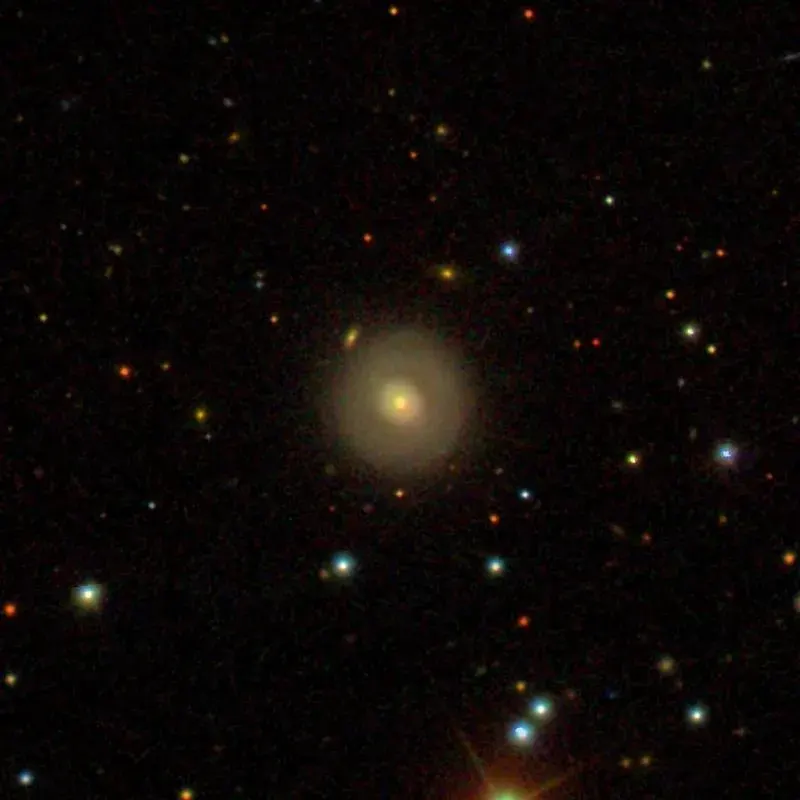 The NGC 443 card