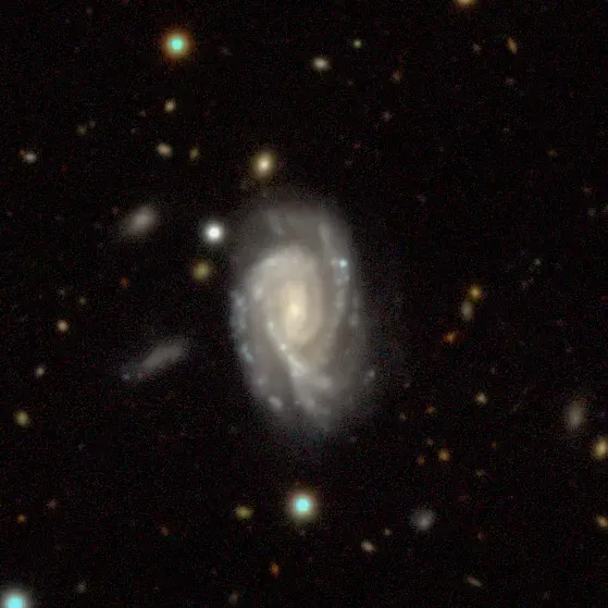 La carte NGC 365
