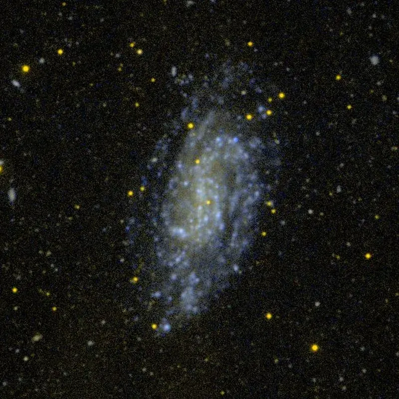 The NGC 1744 card