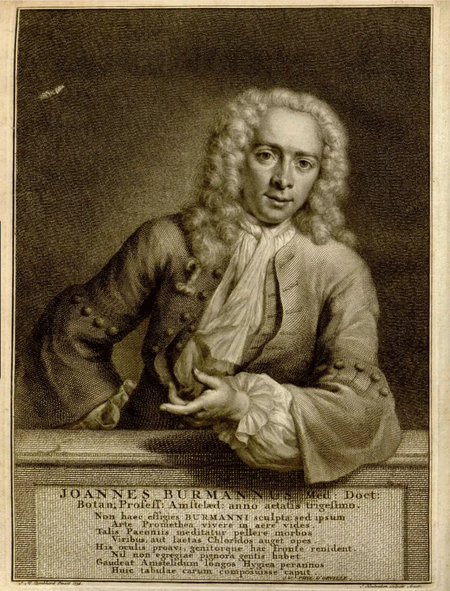 The Johannes Burman card