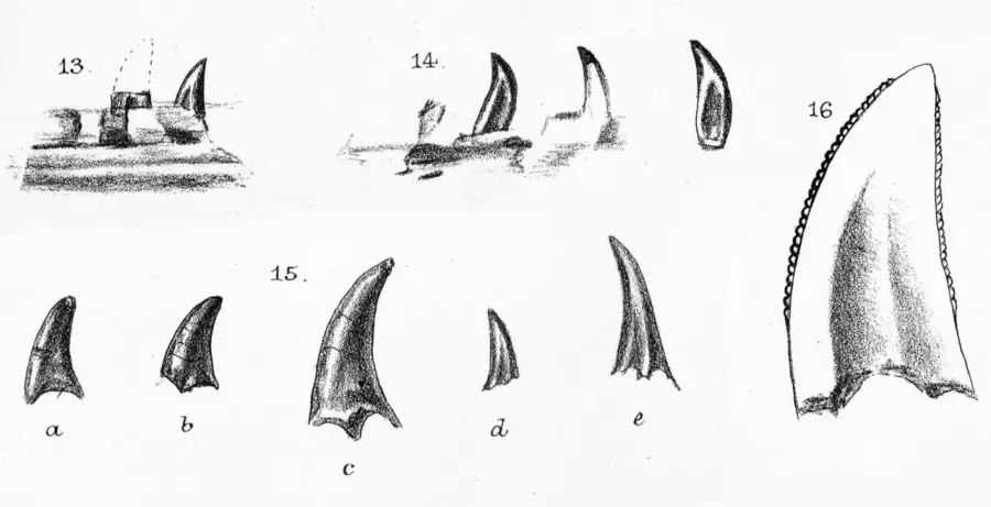 La carte Nuthetes