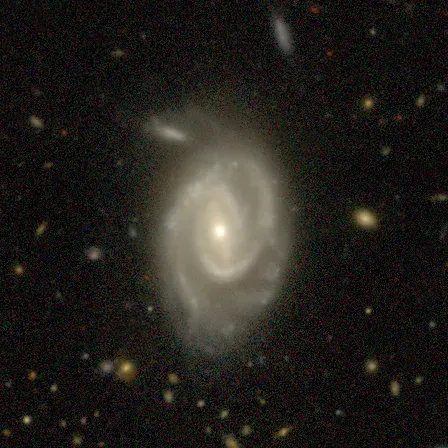 The NGC 334 card