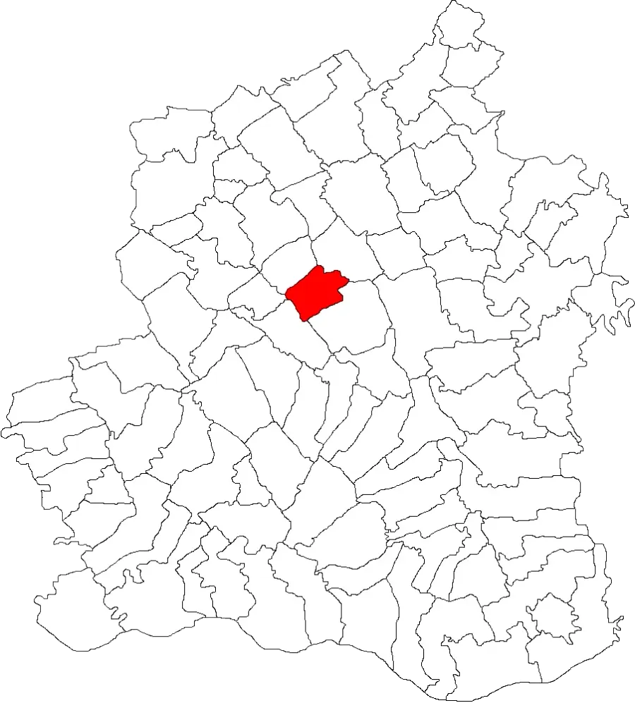 The Rădoiești card