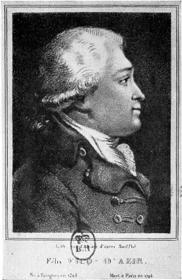 The Félix Vicq-d'Azyr card
