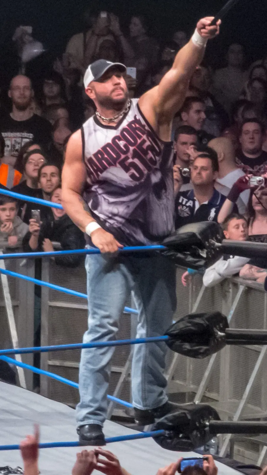 La carte Bully Ray