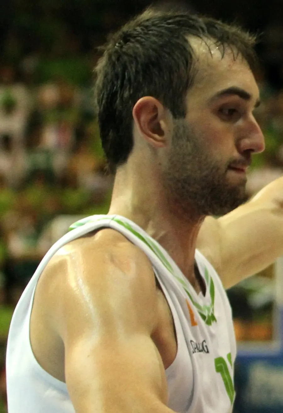 The Mirza Begić card