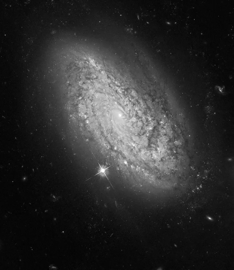 La carte NGC 3021