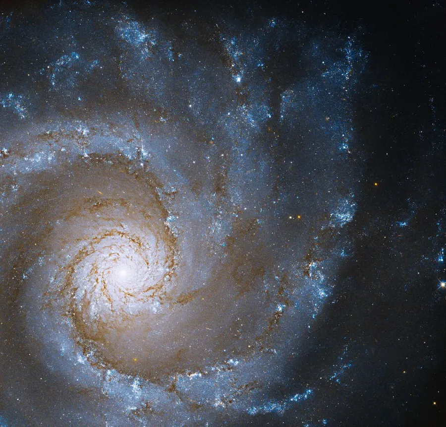 The NGC 3631 card