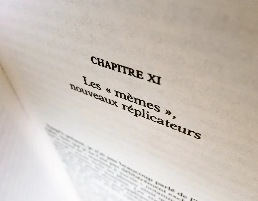 La carte Mème