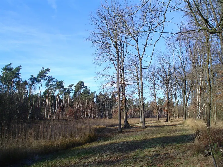 La carte Nederweert