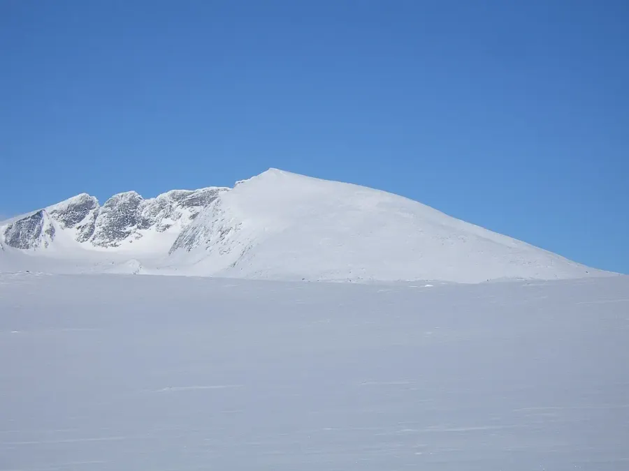 The Snøhetta card