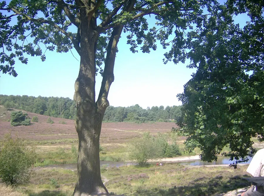 La carte Brunssum