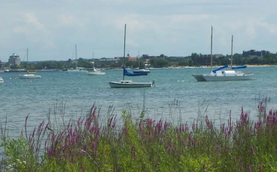 La carte Traverse City