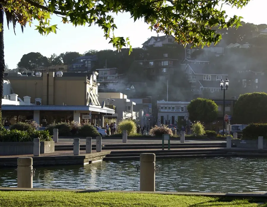 La carte Tiburon