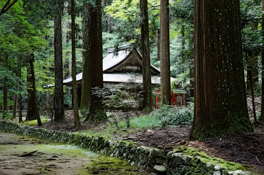 The Kōzan-ji card