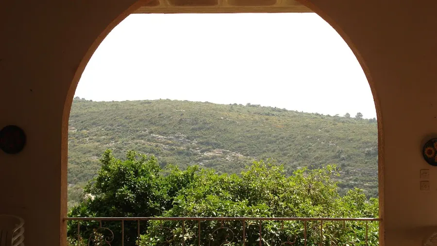 The Ein Hod card