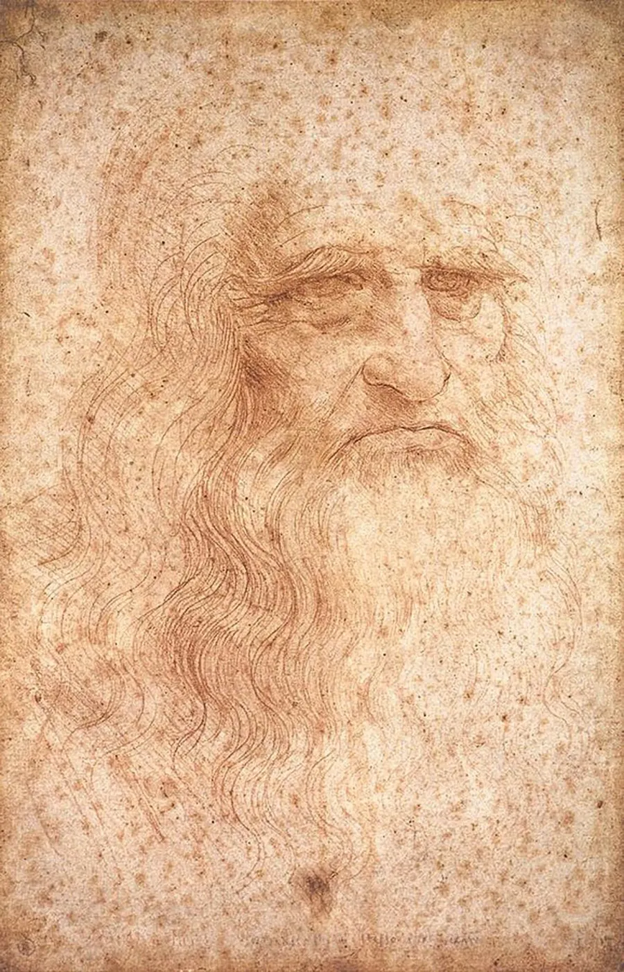 The Portrait of a Man in Red Chalk card