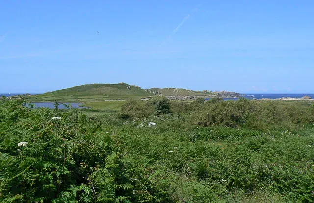 The Bryher card